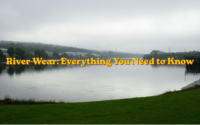 River Wear: Everything You Need to Know